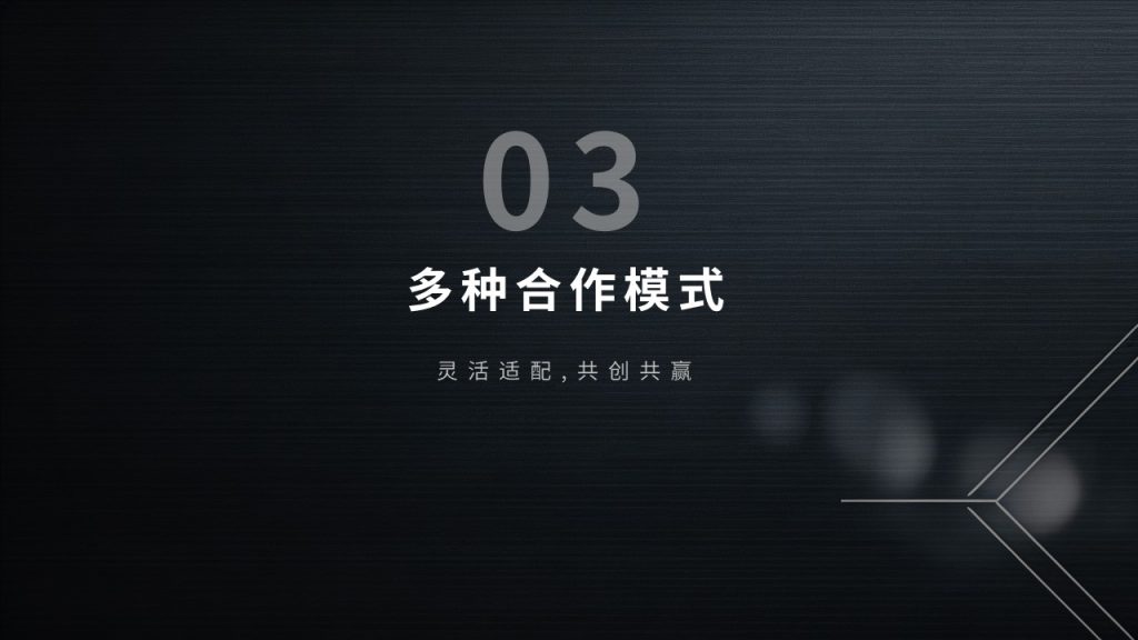 图片[11]-高端轻奢招商加盟 PPT 模板 深黑蓝银色商务企业招商宣讲模板