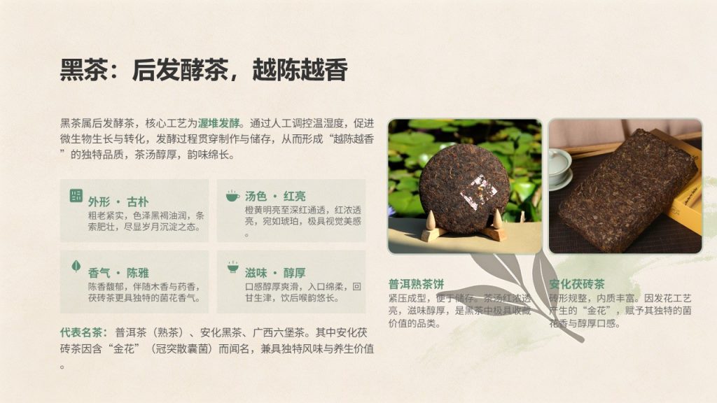 图片[11]-国风淡雅茶文化科普 PPT 模板｜茶绿米杏配色 茶叶分类饮茶礼仪茶具茶俗完整课件免费下载