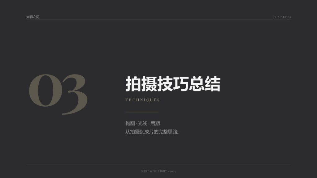 图片[11]-高级极简文艺风摄影作品分享 PPT 冷灰浅香槟留白作品集模板