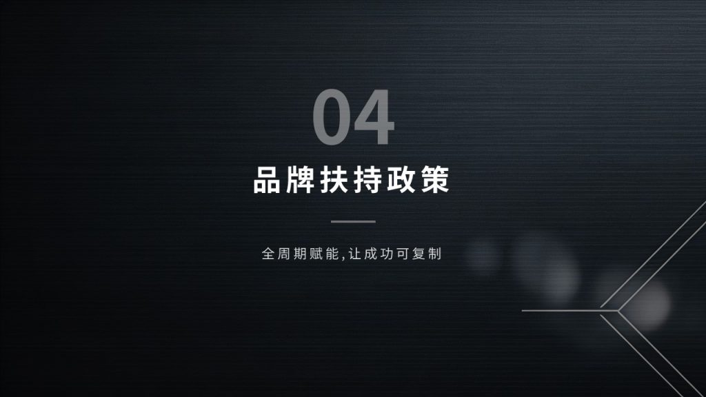 图片[13]-高端轻奢招商加盟 PPT 模板 深黑蓝银色商务企业招商宣讲模板
