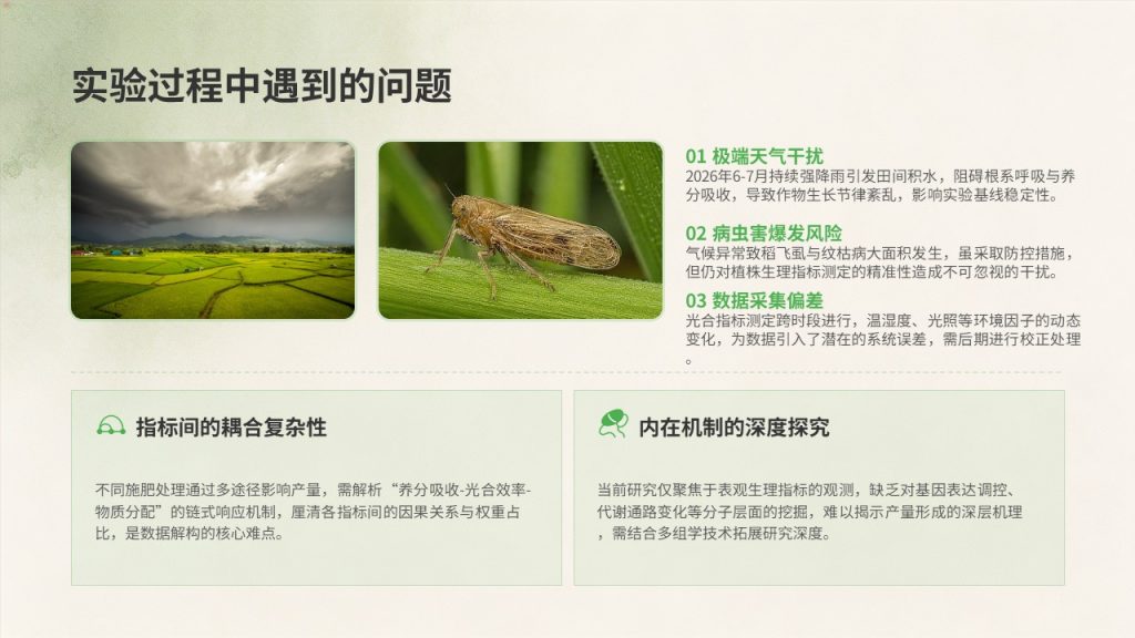 图片[13]-农学专业毕业论文中期汇报 PPT｜草木绿米白学术风成套中期答辩 PPT 免费下载