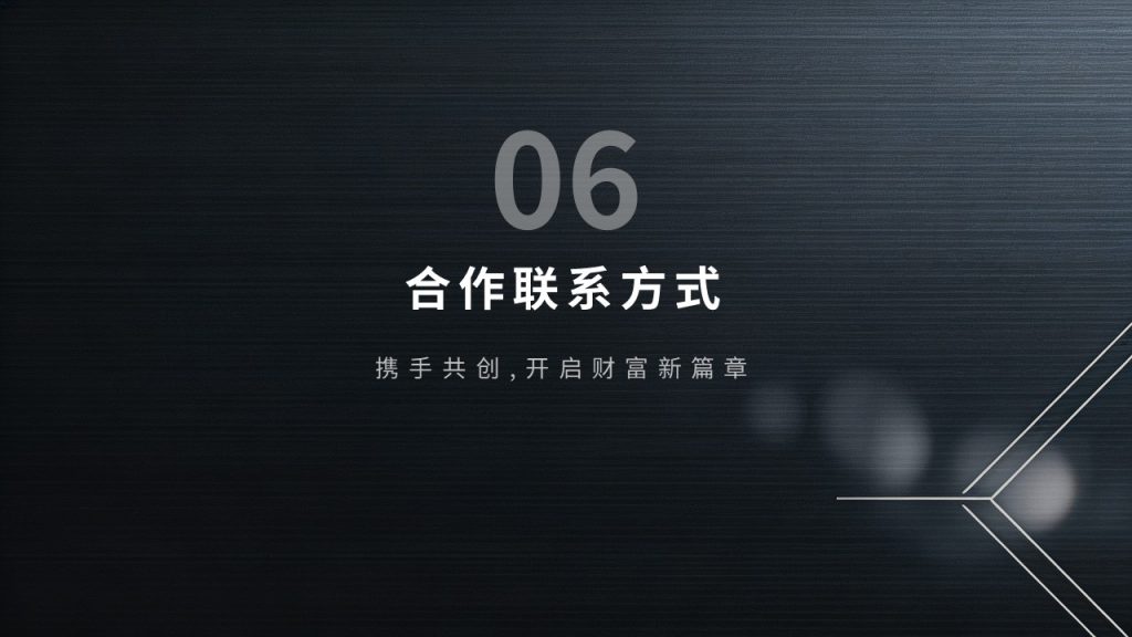 图片[17]-高端轻奢招商加盟 PPT 模板 深黑蓝银色商务企业招商宣讲模板