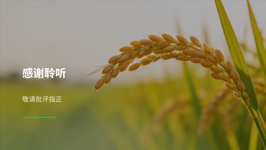 图片[18]-农学专业毕业论文中期汇报 PPT｜草木绿米白学术风成套中期答辩 PPT 免费下载