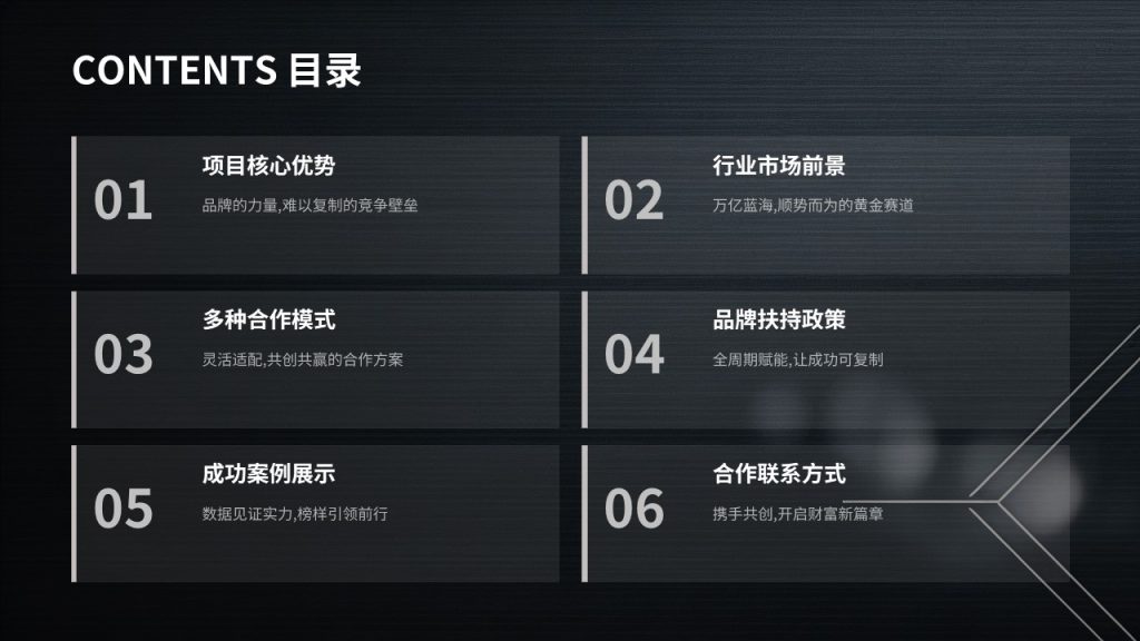 图片[2]-高端轻奢招商加盟 PPT 模板 深黑蓝银色商务企业招商宣讲模板