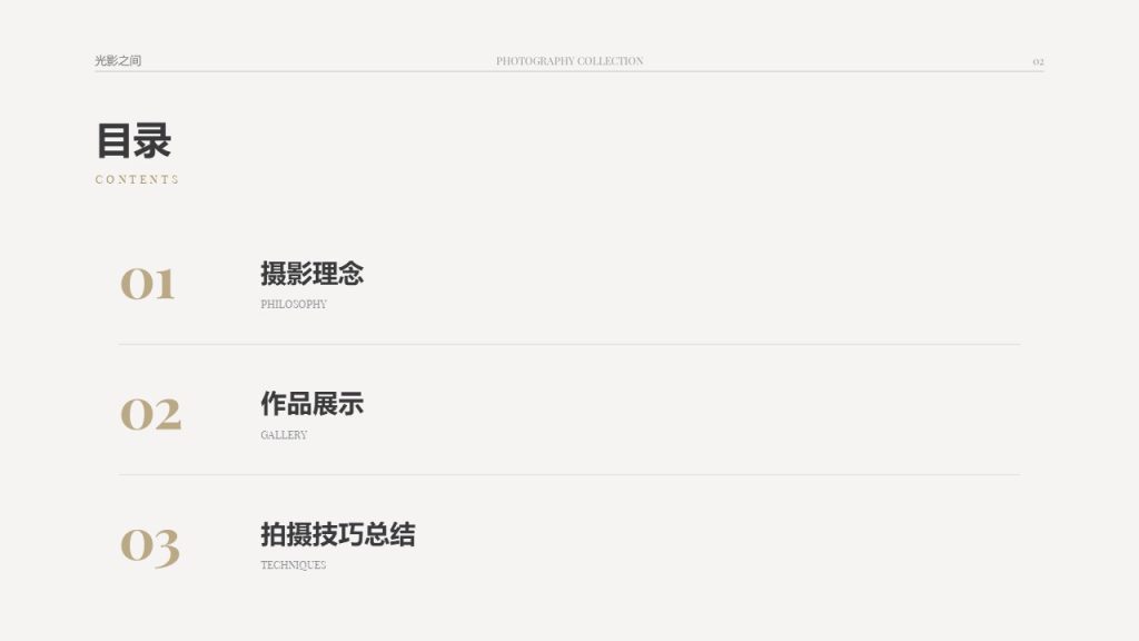 图片[2]-高级极简文艺风摄影作品分享 PPT 冷灰浅香槟留白作品集模板