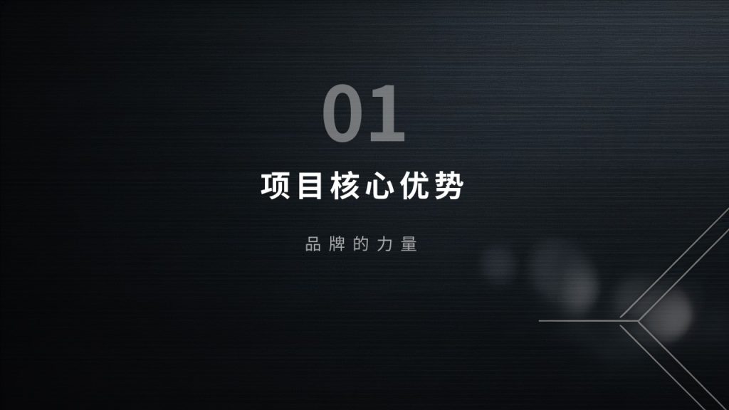 图片[3]-高端轻奢招商加盟 PPT 模板 深黑蓝银色商务企业招商宣讲模板