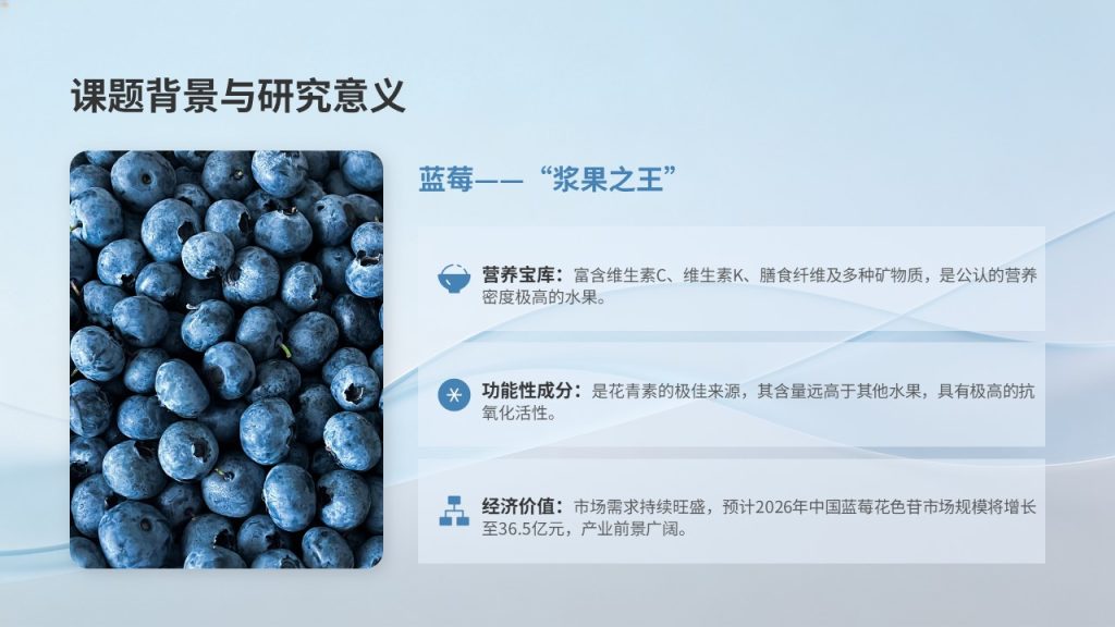 图片[3]-食品科学毕业答辩 PPT 模板 浅蓝学术风 花青素提取工艺【免费下载】