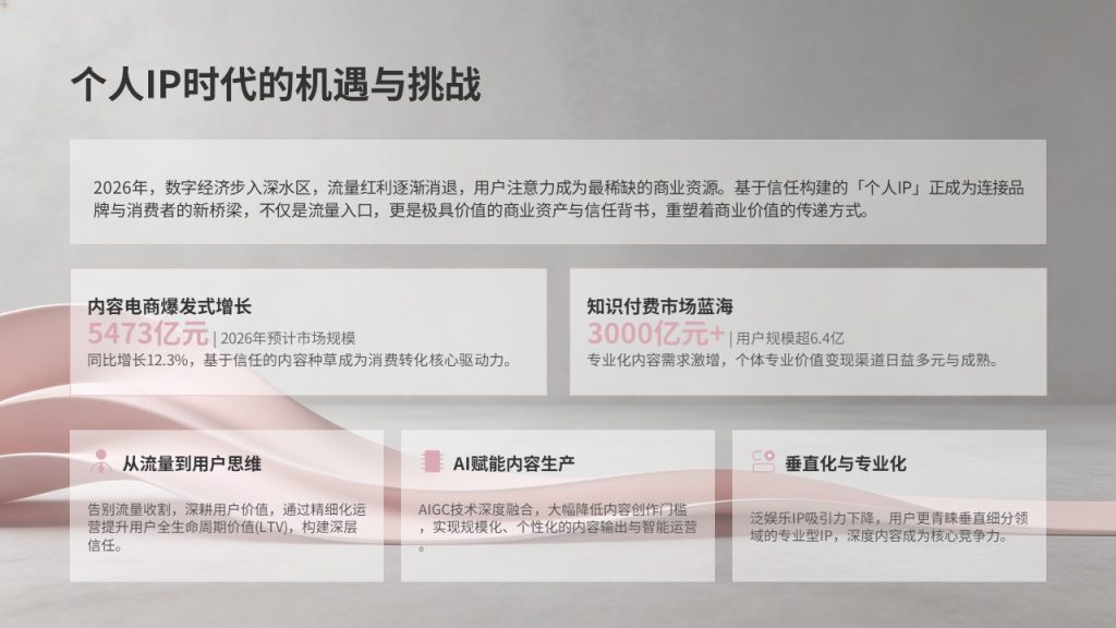 图片[3]-自媒体个人 IP 打造规划 PPT 模板｜现代轻商务石墨灰蔷薇粉 IP 定位方案