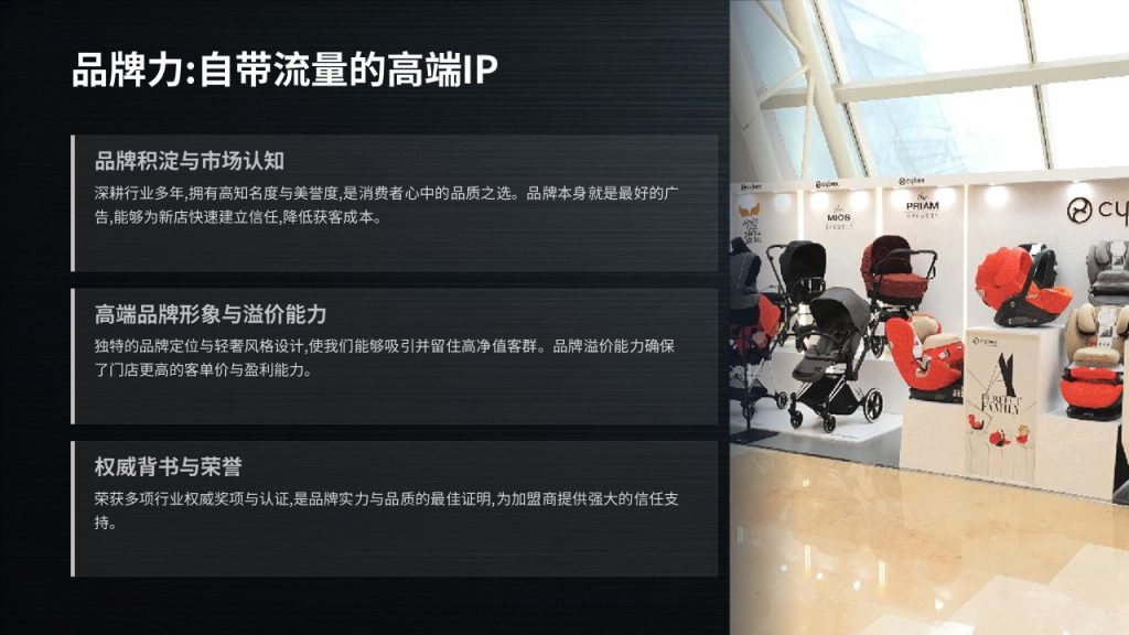 图片[4]-高端轻奢招商加盟 PPT 模板 深黑蓝银色商务企业招商宣讲模板