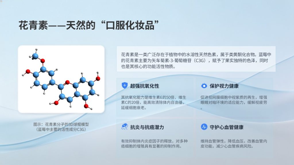图片[4]-食品科学毕业答辩 PPT 模板 浅蓝学术风 花青素提取工艺【免费下载】