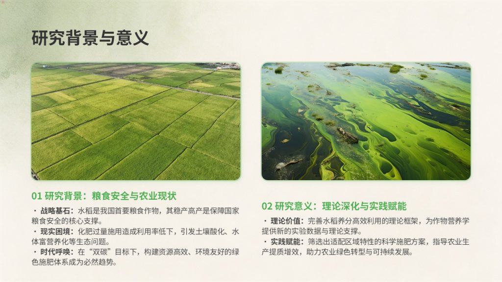图片[4]-农学专业毕业论文中期汇报 PPT｜草木绿米白学术风成套中期答辩 PPT 免费下载