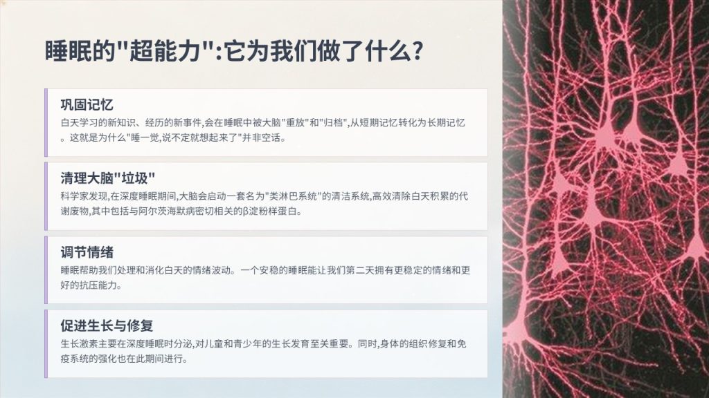 图片[6]-简约趣味知识科普 PPT 模板｜轻量化清新风，通用科普宣讲必备