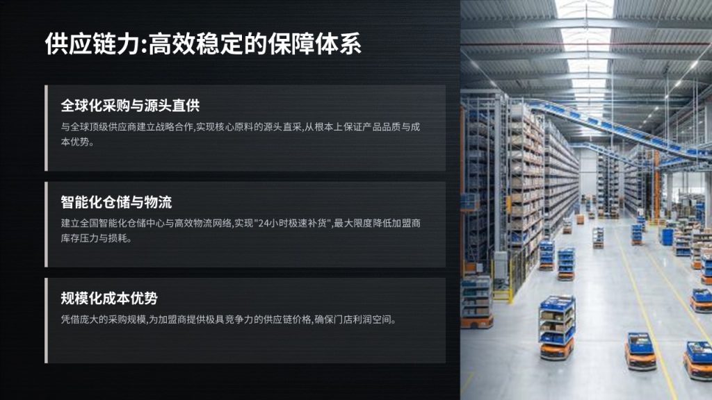 图片[7]-高端轻奢招商加盟 PPT 模板 深黑蓝银色商务企业招商宣讲模板