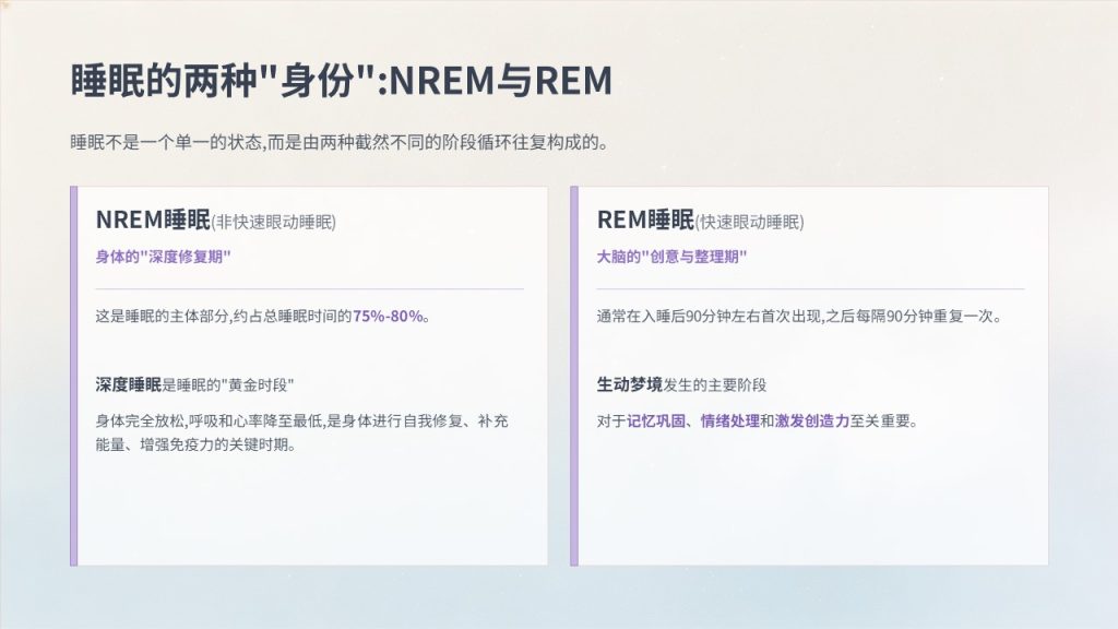 图片[8]-简约趣味知识科普 PPT 模板｜轻量化清新风，通用科普宣讲必备