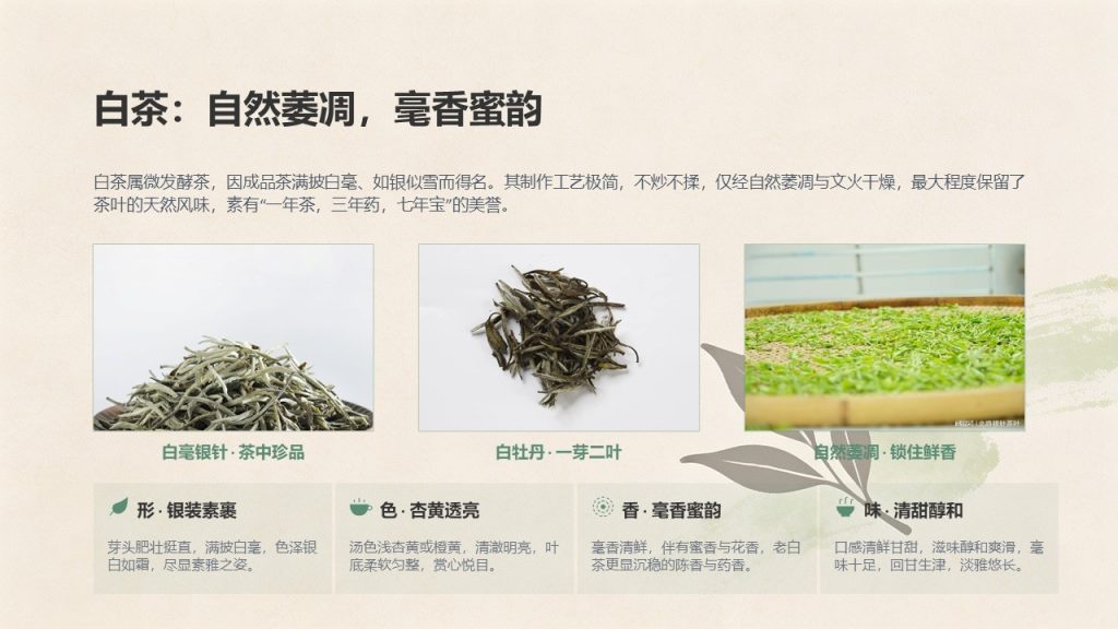 图片[9]-国风淡雅茶文化科普 PPT 模板｜茶绿米杏配色 茶叶分类饮茶礼仪茶具茶俗完整课件免费下载